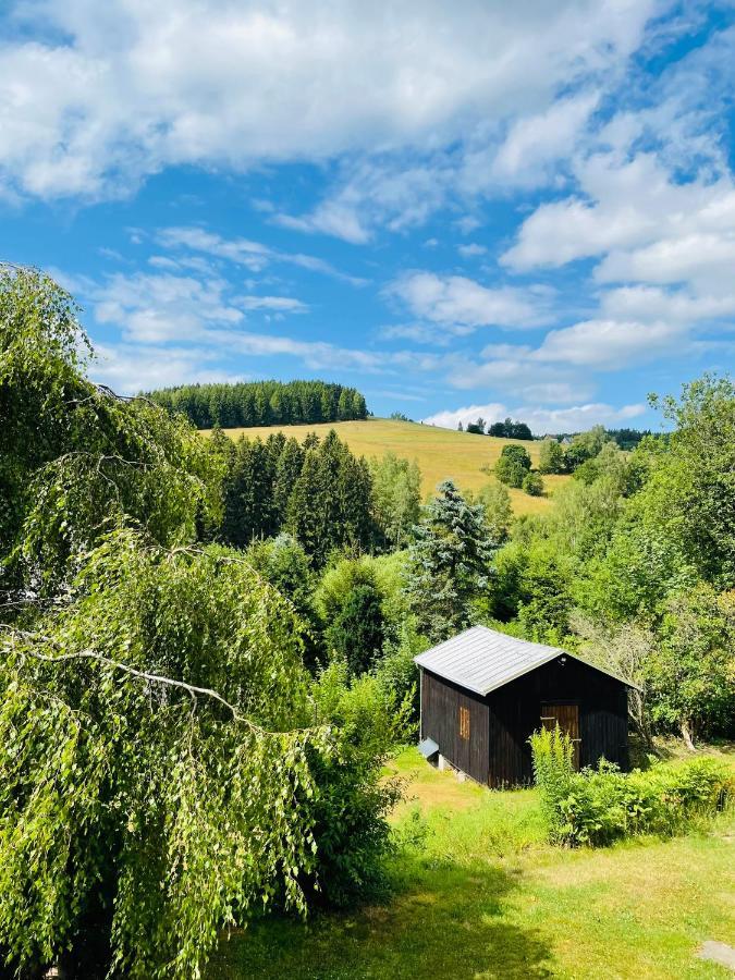Fewo - Bergblick Клінґенталь Екстер'єр фото